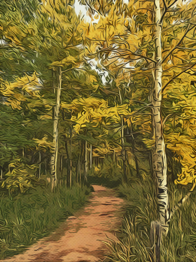A path leading through a forest in the Autumn
