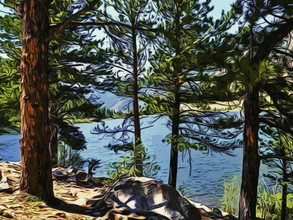 Pine trees and rocks overlooking a blue Colorado lake