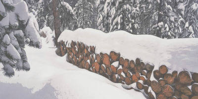A woodpile covered in snow in Colorado