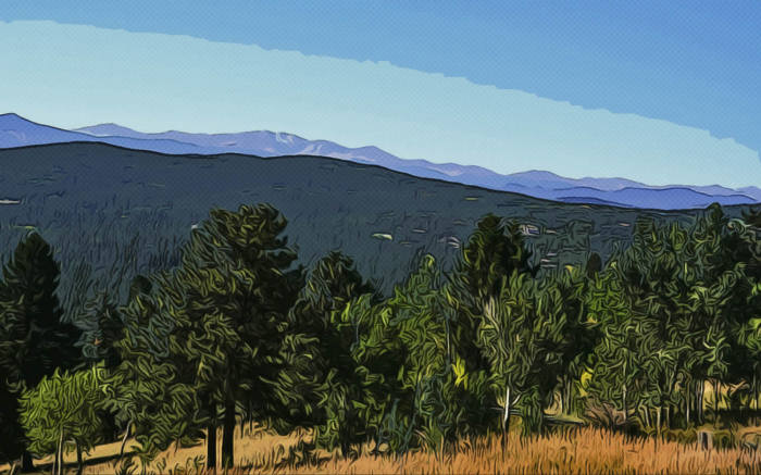 A Colorado vista, trees in the foreground, mountains and sky in the background