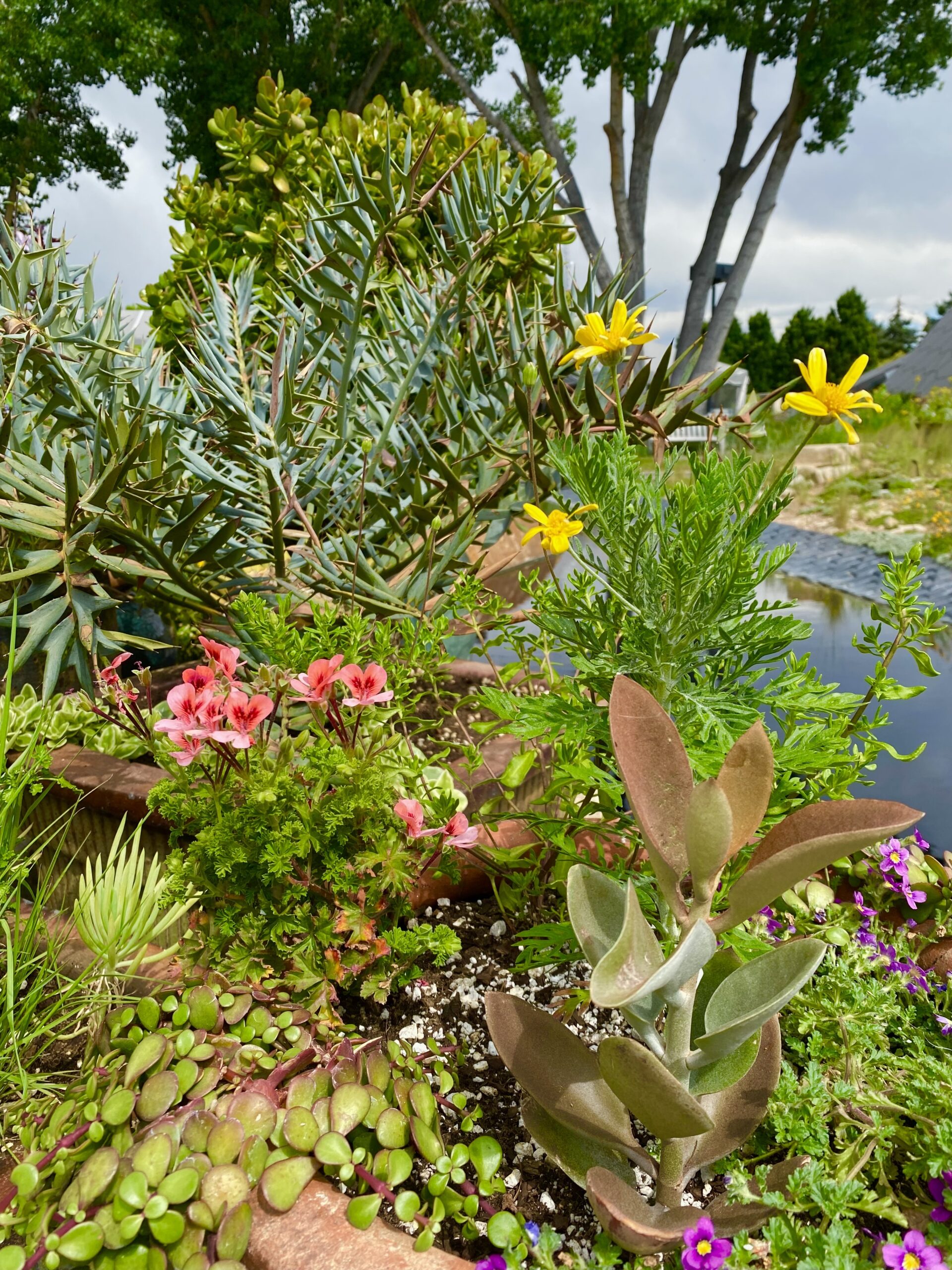 Photo by Richard Brandon. Researching how to address stress can result more stress, with "bullet points of how to feel better. Try and start with one concrete action.