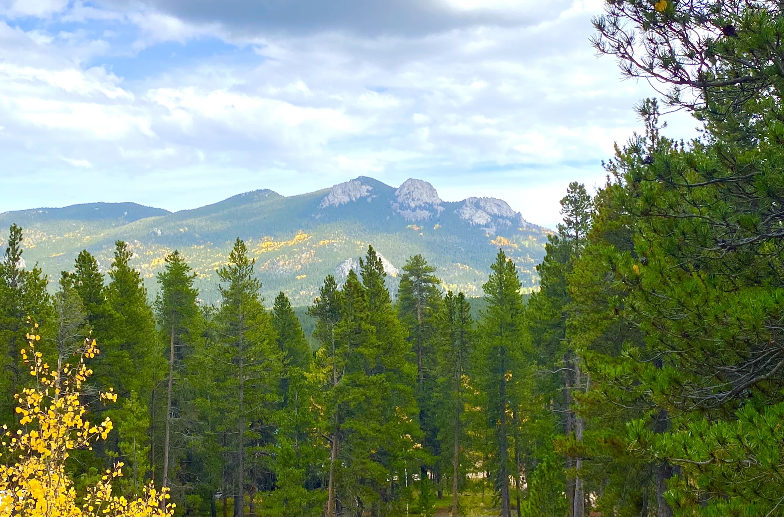 How might you be able to spend some time working out a more comprehensive approach? Where do you find yourself receiving simplistic advice?